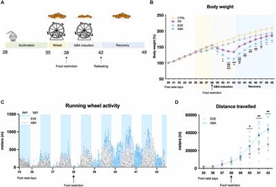 Long-lasting BDNF signaling alterations in the amygdala of adolescent female rats exposed to the activity-based anorexia model